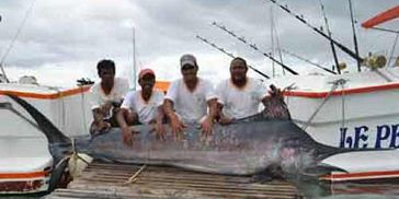 Deep Sea/ Big Game Fishing in Mauritius